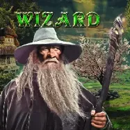 Wizard на вегас